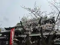 大阪天満宮(大阪府)