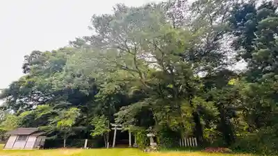 蛭子神社(京都府)