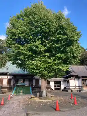 大明寺(神奈川県)
