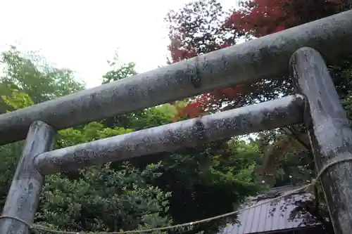 白鬚神社の鳥居