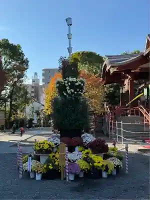 亀戸天神社(東京都)