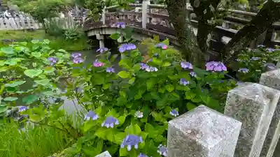 くろ谷 金戒光明寺(京都府)