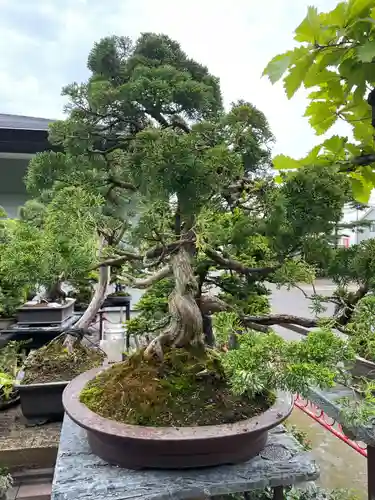 網走三吉神社(北海道)