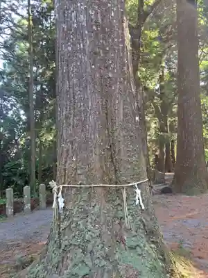 国造神社(熊本県)