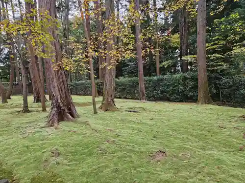 唐招提寺(奈良県)