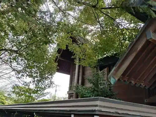 寒川神社(千葉県)