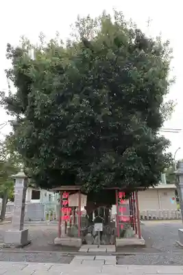 白山神社(二子町)(愛知県)