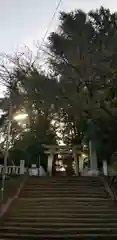 葛西神社の鳥居