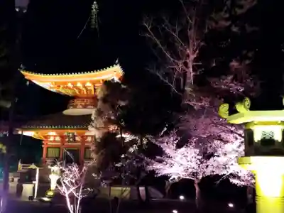 知恩院(京都府)