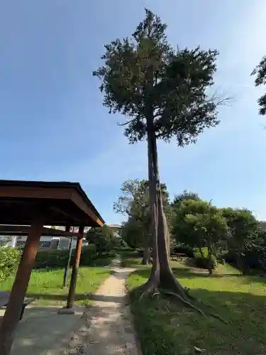 第六天神社(千葉県)