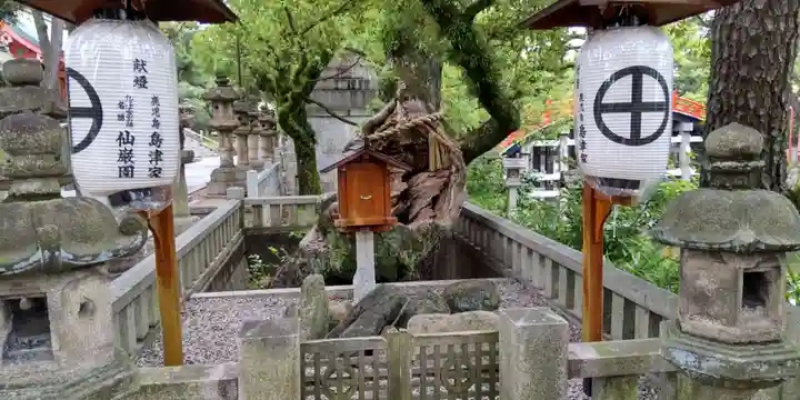 住吉大社(大阪府)