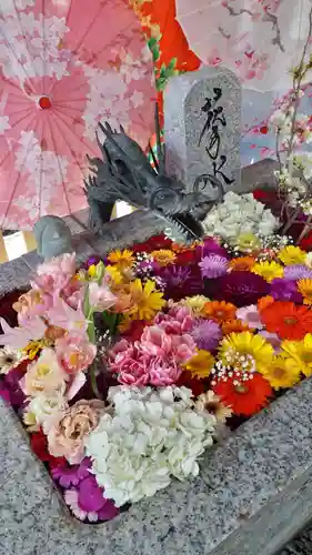 札幌諏訪神社の手水