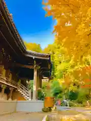 西念寺の本殿