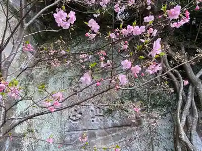建長寺 半僧坊(神奈川県)