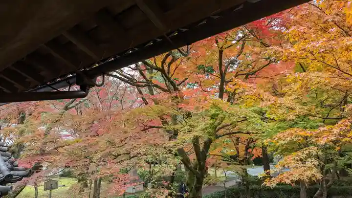 真正極楽寺(真如堂)(京都府)