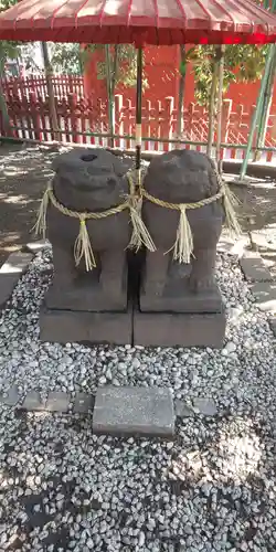 浅草神社の狛犬