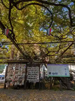 國領神社(東京都)