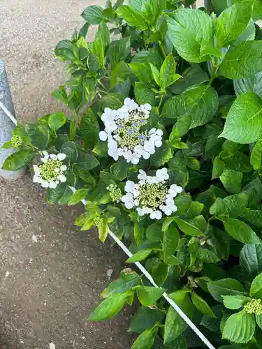 能護寺(埼玉県)