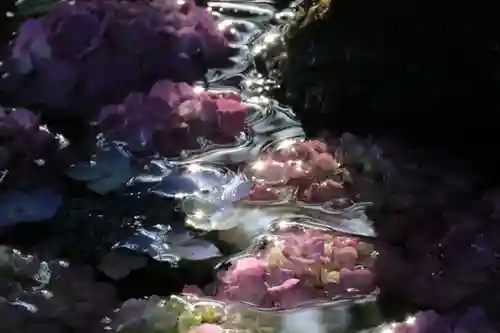 神炊館神社 ⁂奥州須賀川総鎮守⁂の手水舎