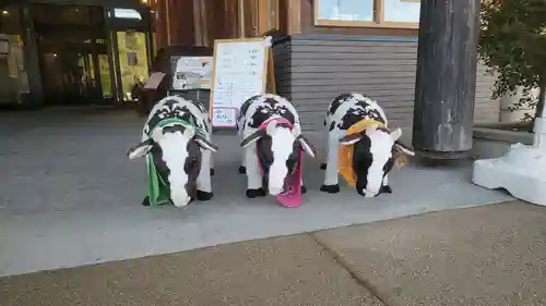 淡嶋神社の狛犬