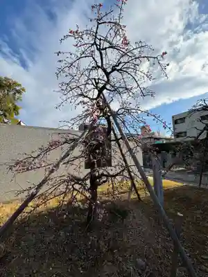 伊勢の国 四天王寺(三重県)