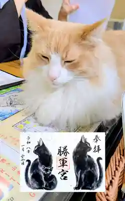 駒込妙義神社の御朱印