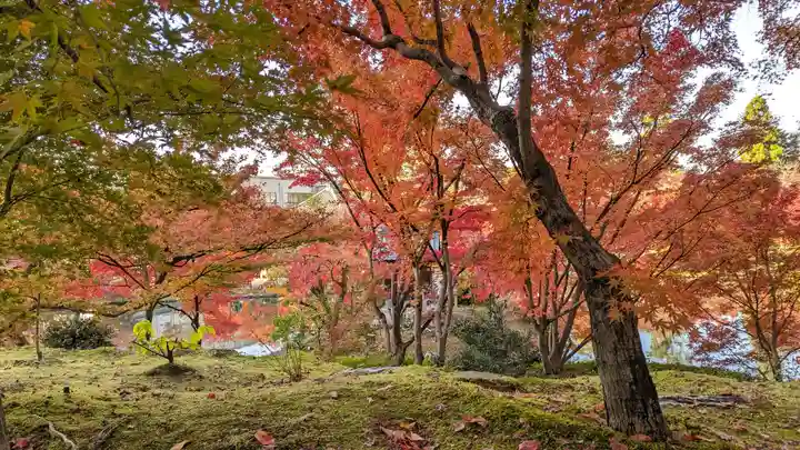 禅林寺(永観堂)(京都府)