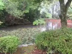 法界寺(日野薬師)(京都府)