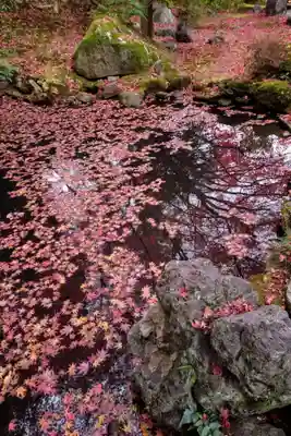榮攝院（栄摂院）(京都府)