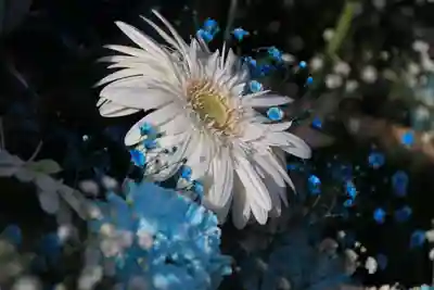 豊景神社の手水舎