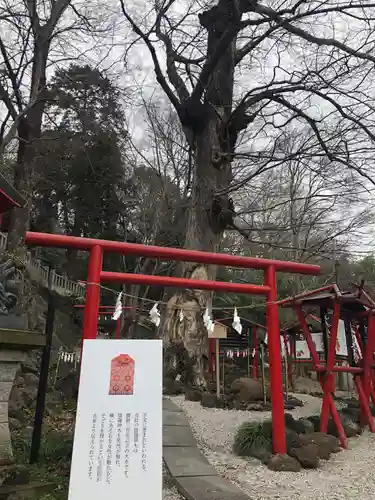 山名八幡宮の鳥居