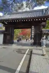 南禅寺の山門