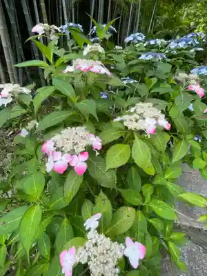 長壽寺（長寿寺）(神奈川県)