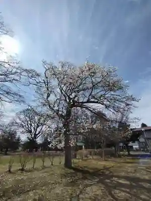 厚別神社(北海道)