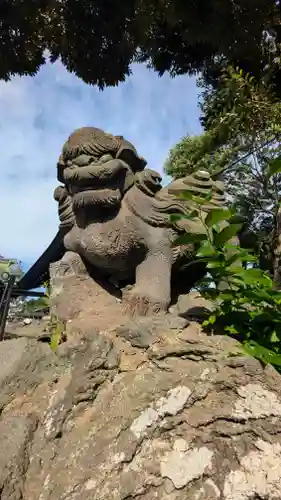 菊田神社の狛犬