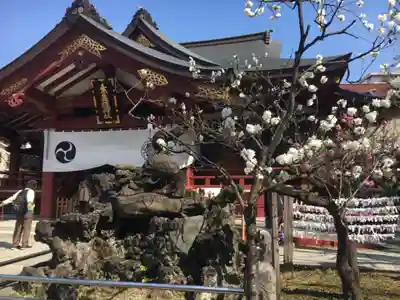 素盞雄神社の狛犬