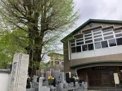 宗興寺の{uncategorized: "未分類", other: "その他", undefined: "問題あり", building: "その他建物", grave: "お墓", sacred_gate: "鳥居", guardian: "狛犬", statue: "像", buddha: "仏像", history: "歴史", nature: "自然", garden: "庭園", animal: "動物", pagoda: "塔", temizu: "手水舎", mountain_gate: "山門・神門", sanctuary: "本殿・本堂", subordinate: "末社・摂社", art: "芸術", scenery: "景色", jizo: "地蔵", ema: "絵馬", goshuin: "御朱印", omikuji: "おみくじ", items: "授与品その他", amulet: "お守り", goshuincho: "御朱印帳", eats: "食事", festival: "お祭り", votive_dance: "神楽", shichigosan: "七五三参", wedding: "結婚式", experience: "体験その他", initially: "初詣", around: "周辺", anti_infection: "感染症対策"}