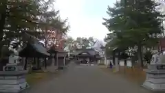 鷹栖神社の建物その他