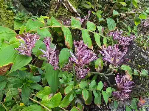 玄賓庵(奈良県)