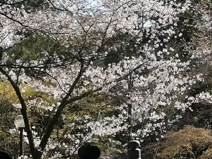 真正極楽寺(真如堂)(京都府)