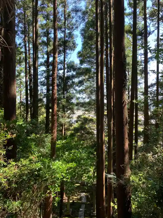 琴平神社の周辺