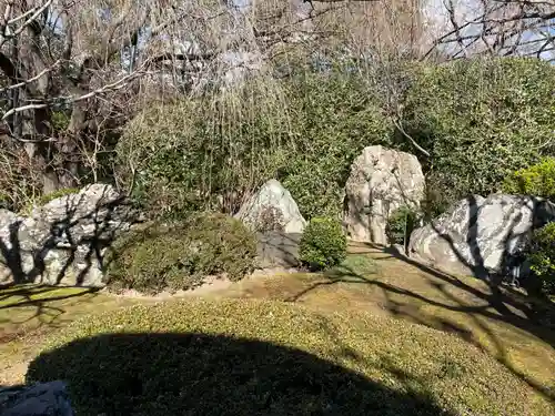 退蔵院(京都府)