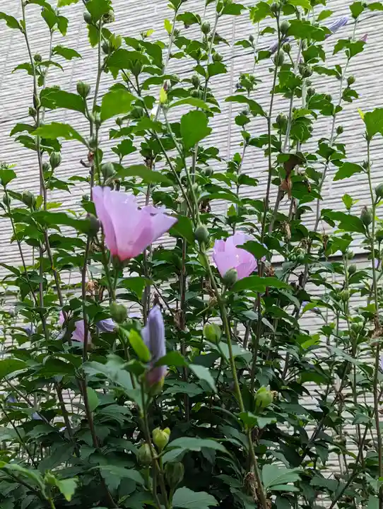 西林寺(京都府)