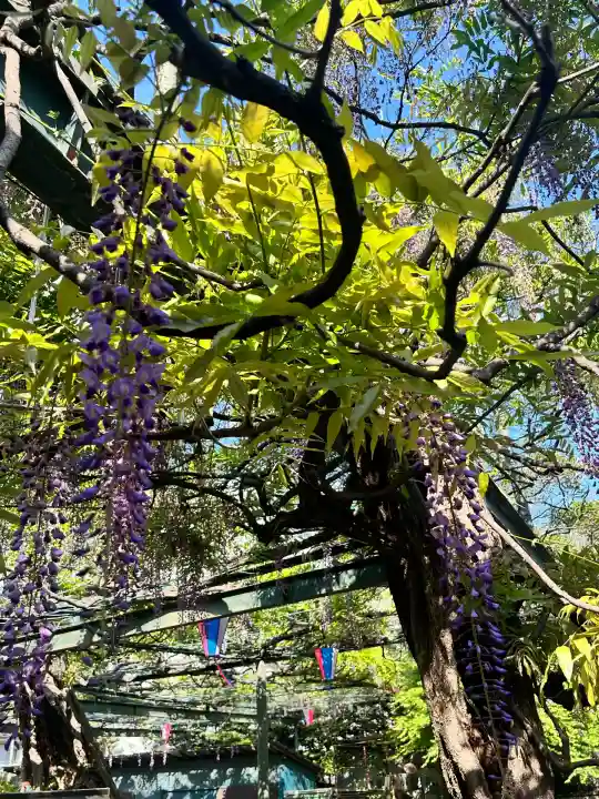 國領神社(東京都)