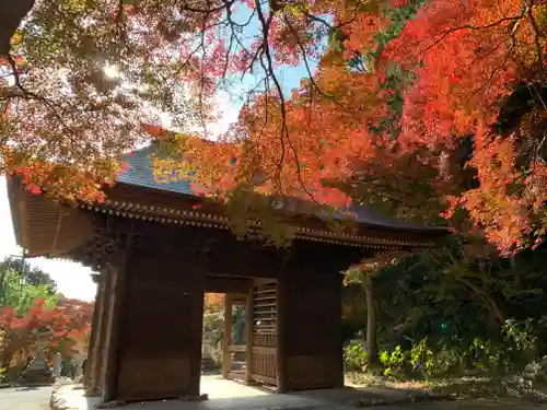 普門寺(切り絵御朱印発祥の寺)の山門