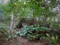 立石稲荷の自然