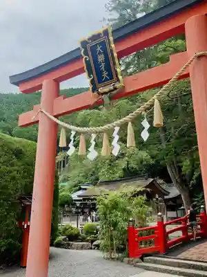 天河大辨財天社の鳥居