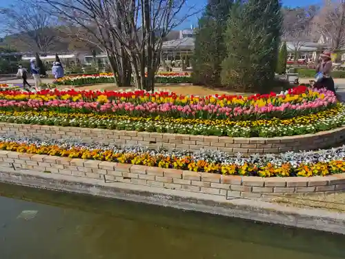 寺岡山元三大師(栃木県)