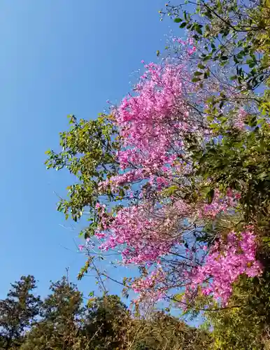 清荒神清澄寺の自然