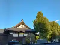 真観寺の本殿・本堂